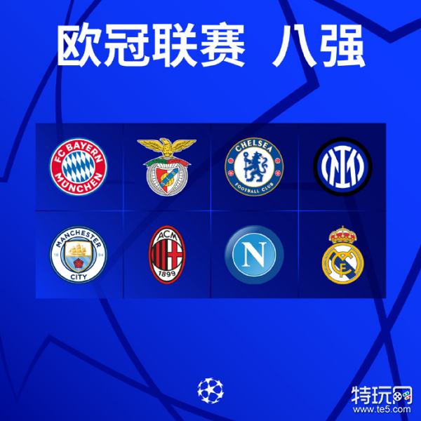 专家指