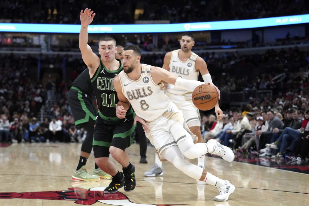 巩固了他们 巩固了他们