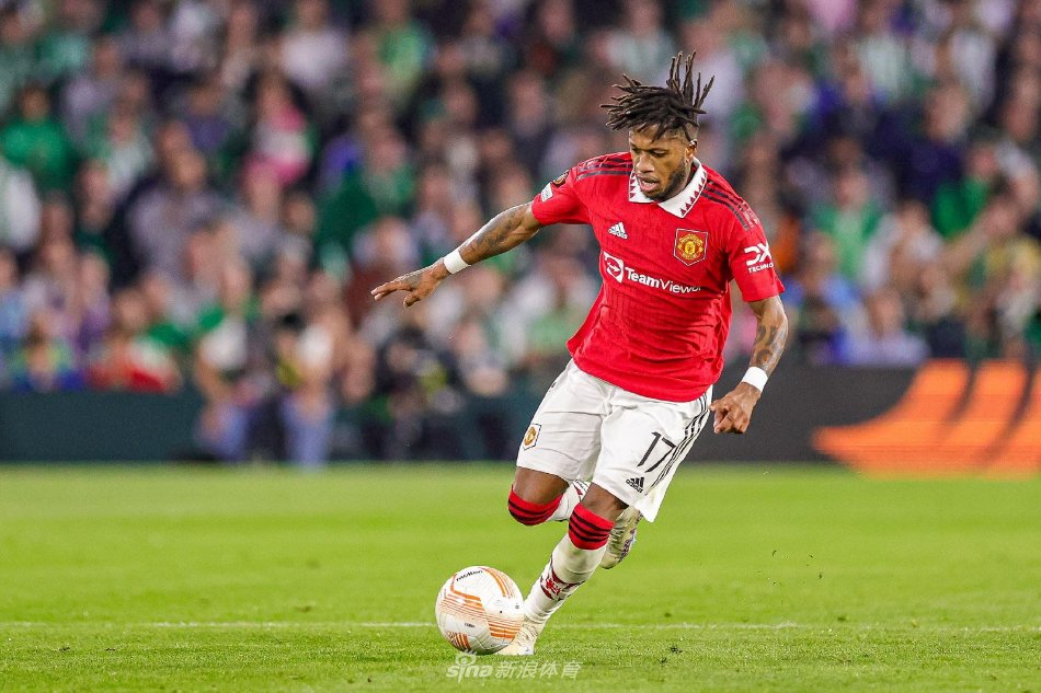 和适应性 和适应性